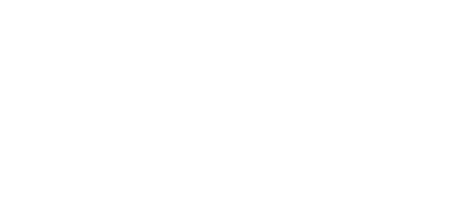 TRIBO by Netwerk Ondernemen logo white