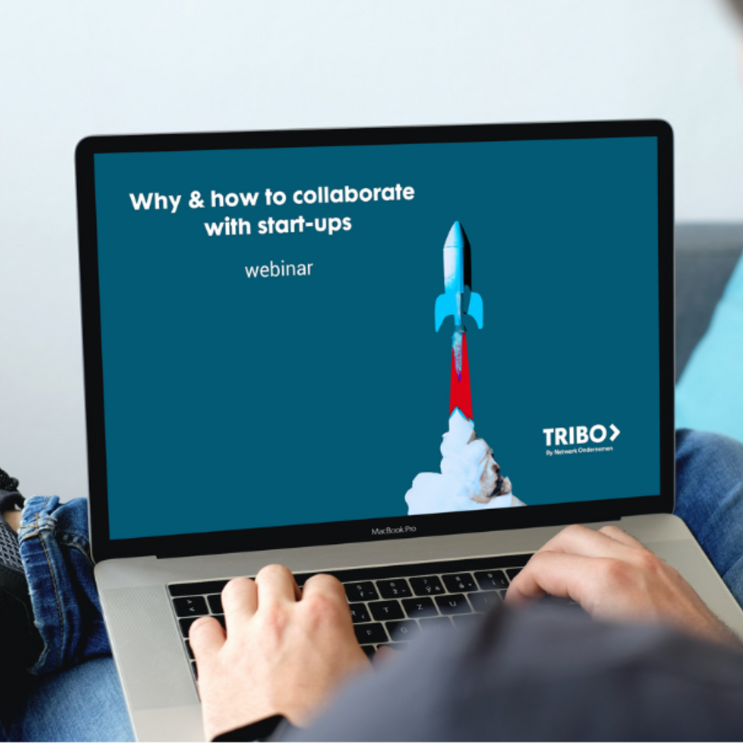 Why and how to collaborate with start-ups, a webinar by TRIBO